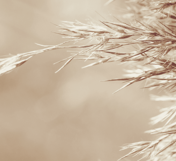 Seasons Psychology Sunbury